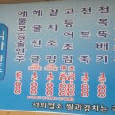 해변정 이미지