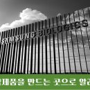 경희홀딩스 | 삼성바이오로직스 인적분할 채용 알아봅시다