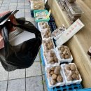 학산한 | 경북 포항 내연산맛집 학산식당 내돈내산 솔직후기