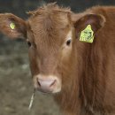 이은석농장 이미지