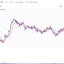 와이지메디컬 이미지