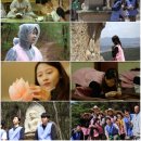 스테이 청춘 이미지