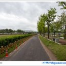 재매정길 이미지