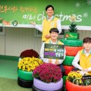 국화정원 이미지