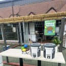 강아지놀이터 이미지