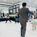 국가대표드림태권도장 이미지
