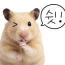 일등생고기