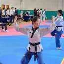 TEAM-K 태권도장 이미지