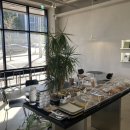 그래티파이 커피 이미지