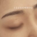 덕성네추럴 네이버블로그