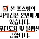 롯데리아홍천점 이미지