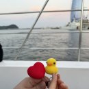 제트탑 | 여수 요트투어 | 내돈내산 솔직후기 | 불꽃야경투어, 제트보트