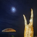 영덕대게로펜션