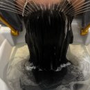 주정차단속-47 | 광주 용봉동 헤드스파 두피관리 잘하는 미용실 다숨