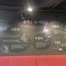 공차영천시청점 이미지