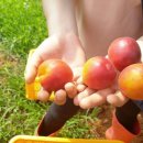 이완기농장 이미지