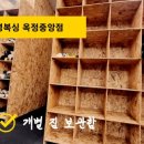 사명복싱옥정