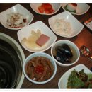 쌍둥이정갈비 Daum카페