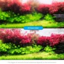 네오클린 이미지