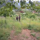 해동검도 북삼체육관 이미지