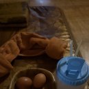 전주 한옥스파 이미지