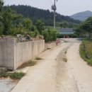 보길면-1 이미지