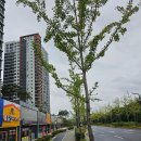 봉담중흥에듀파크공인중개사사무소 이미지