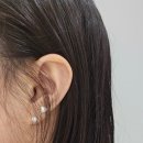 로즈향기 이미지