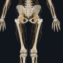 옹달샘한의원 이미지