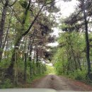 백합펜션 이미지