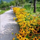 기성２１ 이미지