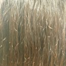 헤어뷰티앤코 | 어던앤코 헤어에센스 사용 후기 – 수분감 가득! 정수리 볼륨을 살려주는 단백질 에센스✨