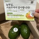 본테크 | 올팜을 소개합니다. ^^ (20개월 동안 직접 해본 올팜 후기｜진짜 농산물 받는 앱테크 추천~!!!)