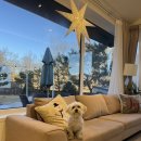 네이처힐 | 양평애견동반펜션 풀빌라 네이처힐 2회차 방문후기