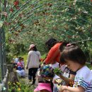 선원초등학교 이미지