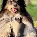 메이의산책 이미지