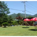 솔숲민박 이미지