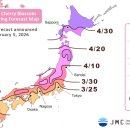 주식회사 만개 - 강남구 | 주식회사 만개