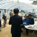 조영심 농장 이미지