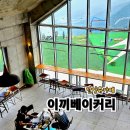 (신규/외부)카페메뉴 스타일리스트 | 이끼베이커리 산점, 패러글라이딩전망 단양뷰카페 내돈내산후기
