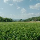 호연스테이 이미지