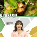쿄라멘 이미지