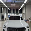 이규환 | 볼보 XC90 B6 울트라 출고 후기｜화이트·카다멈 시트, 골프백 4개를 위한 선택
