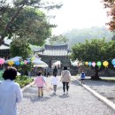 보덕유치원 | [영월] 가람이의 부처님오신날 보덕유치원 장구, 발레 공연 후기