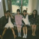 효리네 민박 이미지