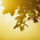 서울J플란트치과의원 이미지