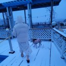 어우름스파애견펜션 | 강원도 양양 애견펜션 몬띠애견스파펜션 솔직후기 (운동장 최고)🐶