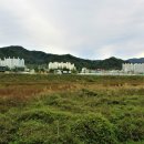 곤천천 네이버블로그