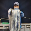 썬레드호 이미지