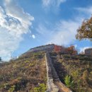 고모산성(오미자 테마터널) 이미지